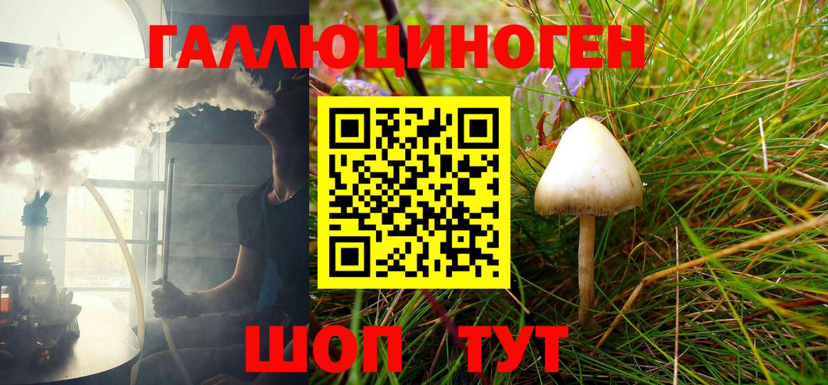 Псилоцибиновые грибы Psilocybe  Вход с VPN  Бийск 